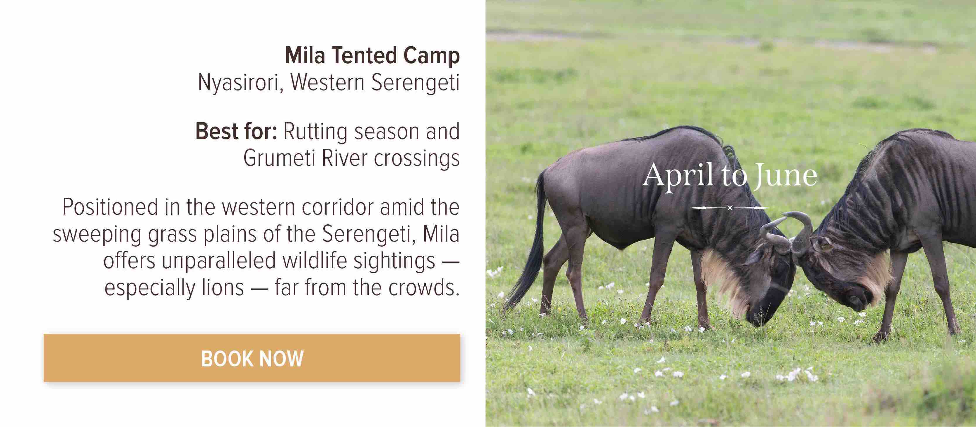 Book now