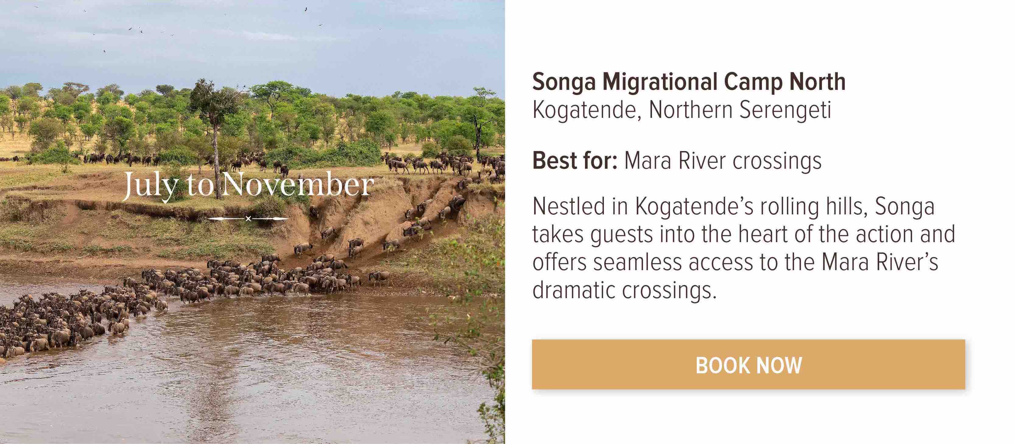 Book now
