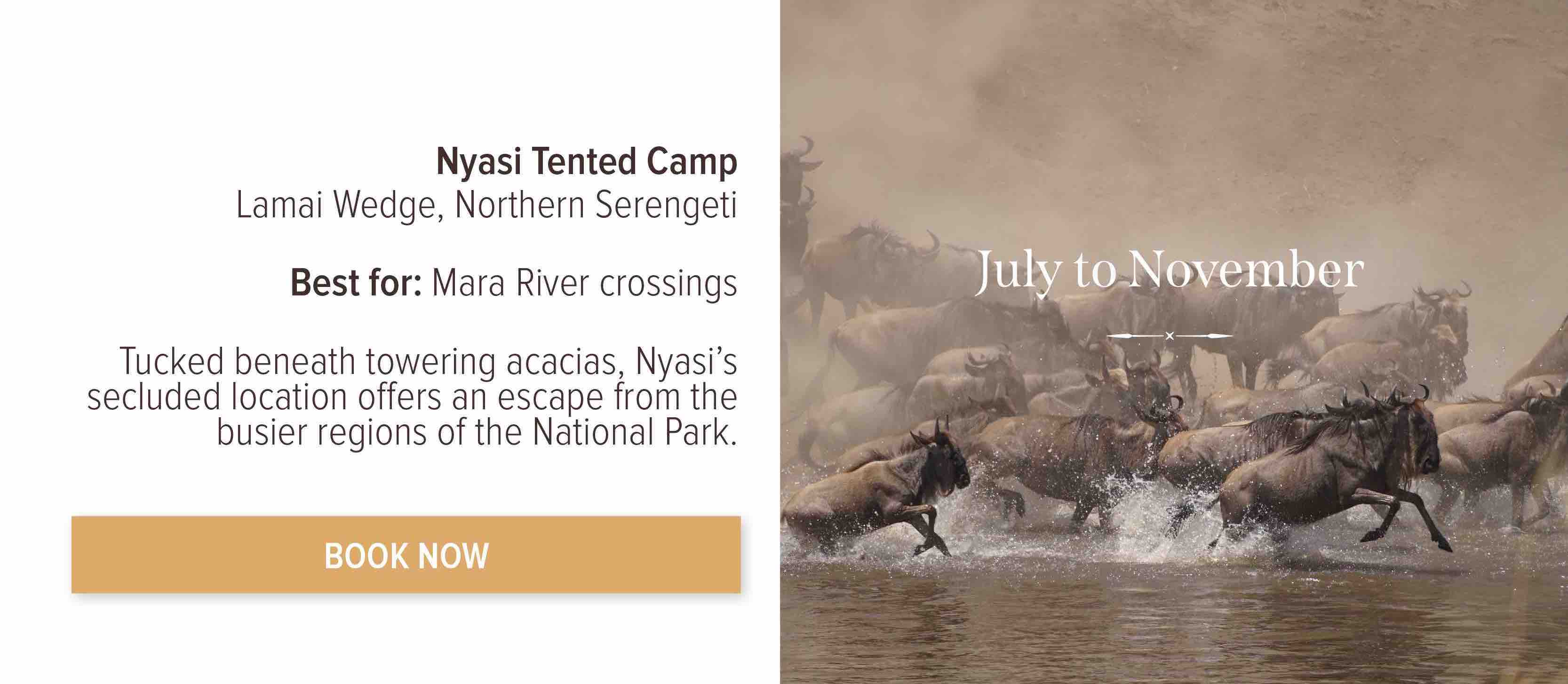 Book now