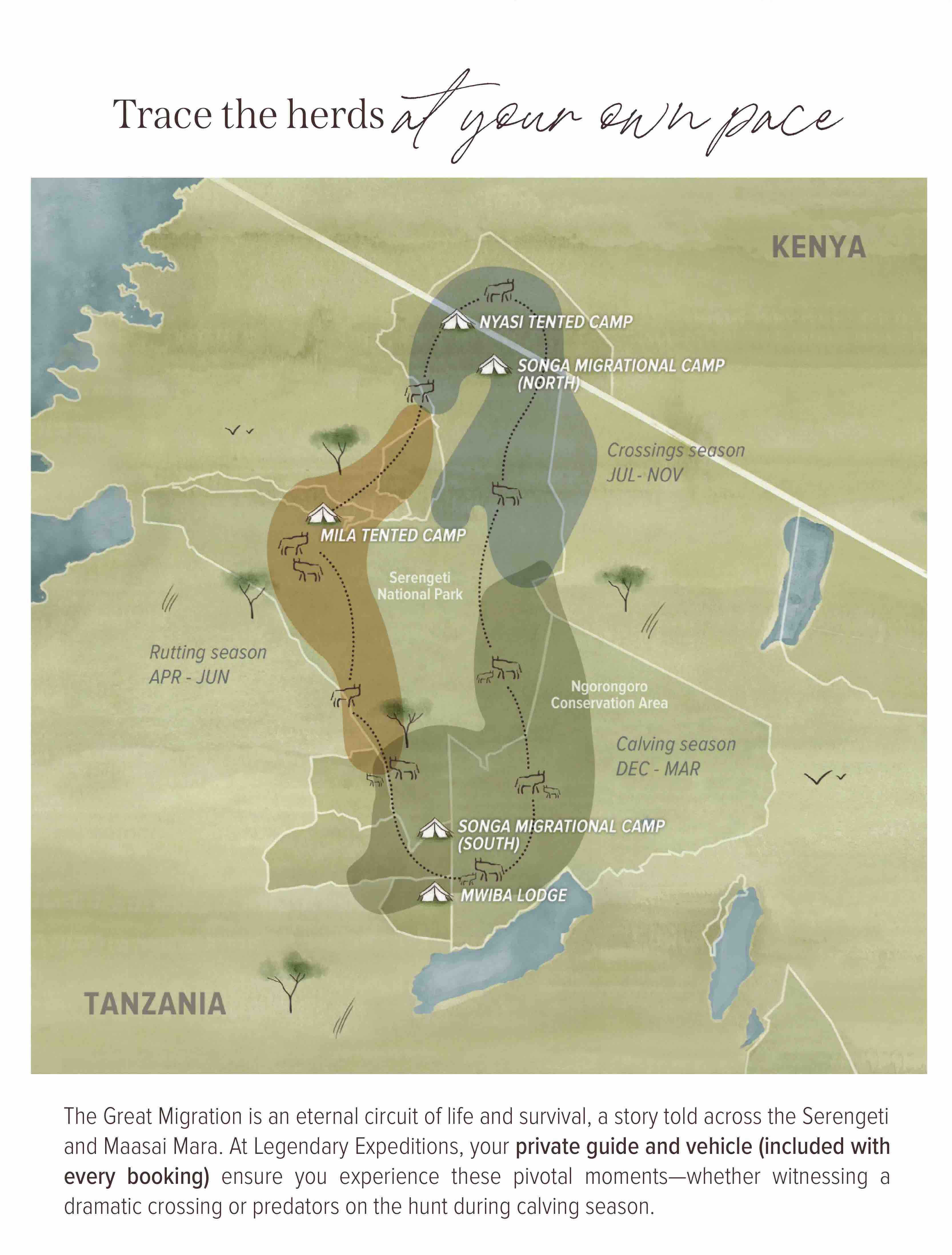 Trace the herds at your own pace