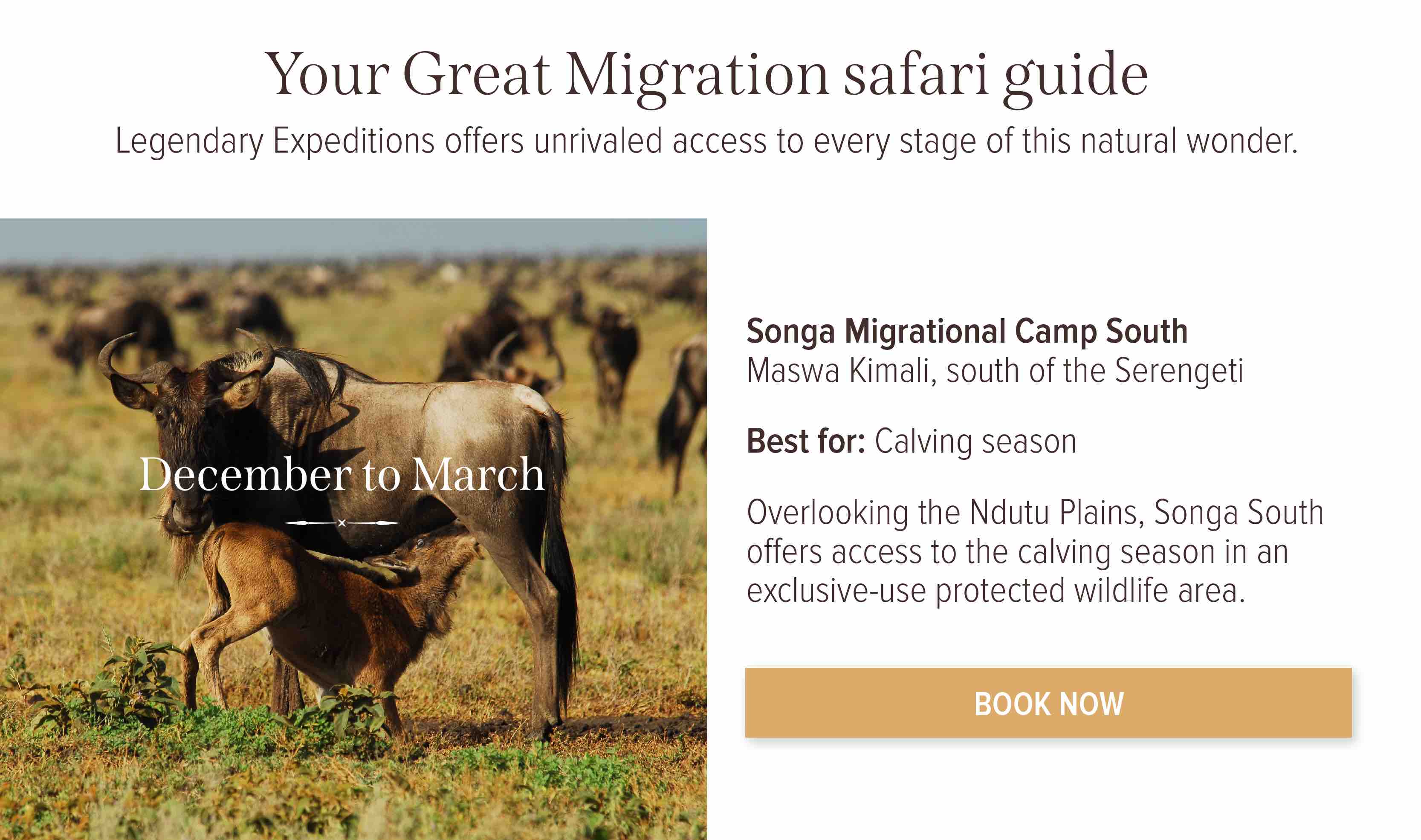 Book now