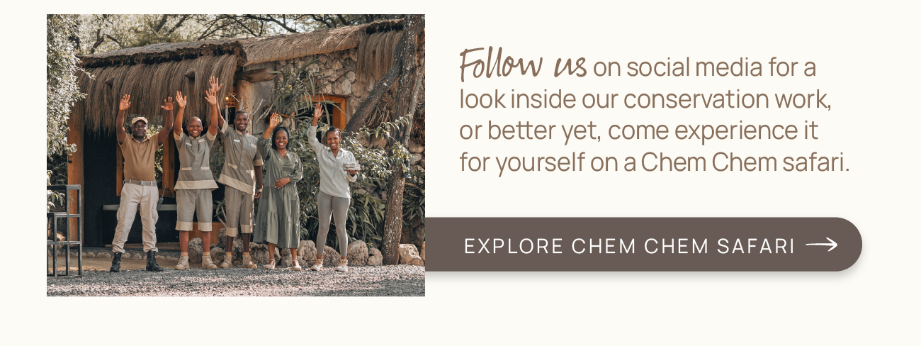 Explore Chem Chem Safari