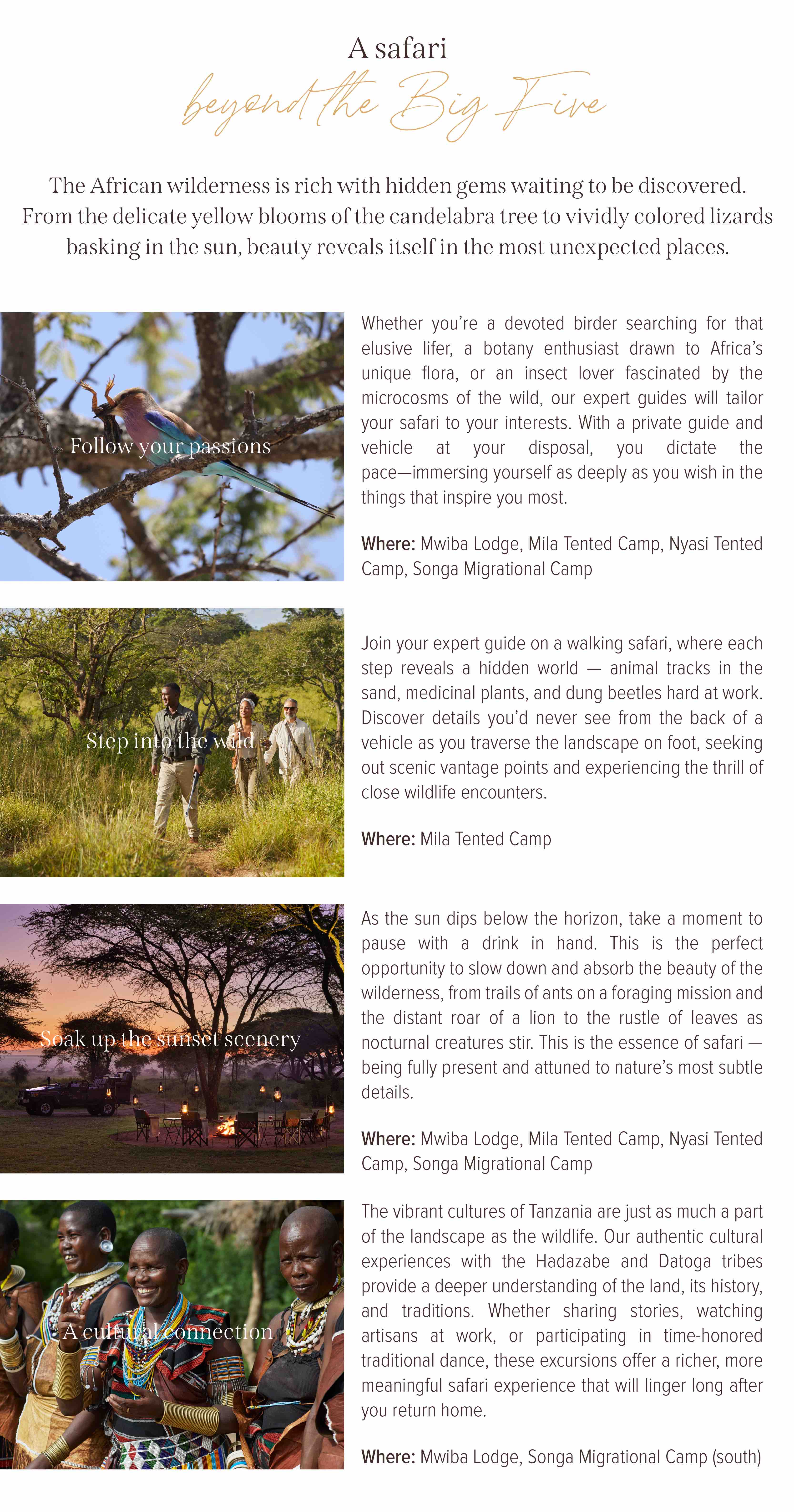 A safari beyond the Big Five