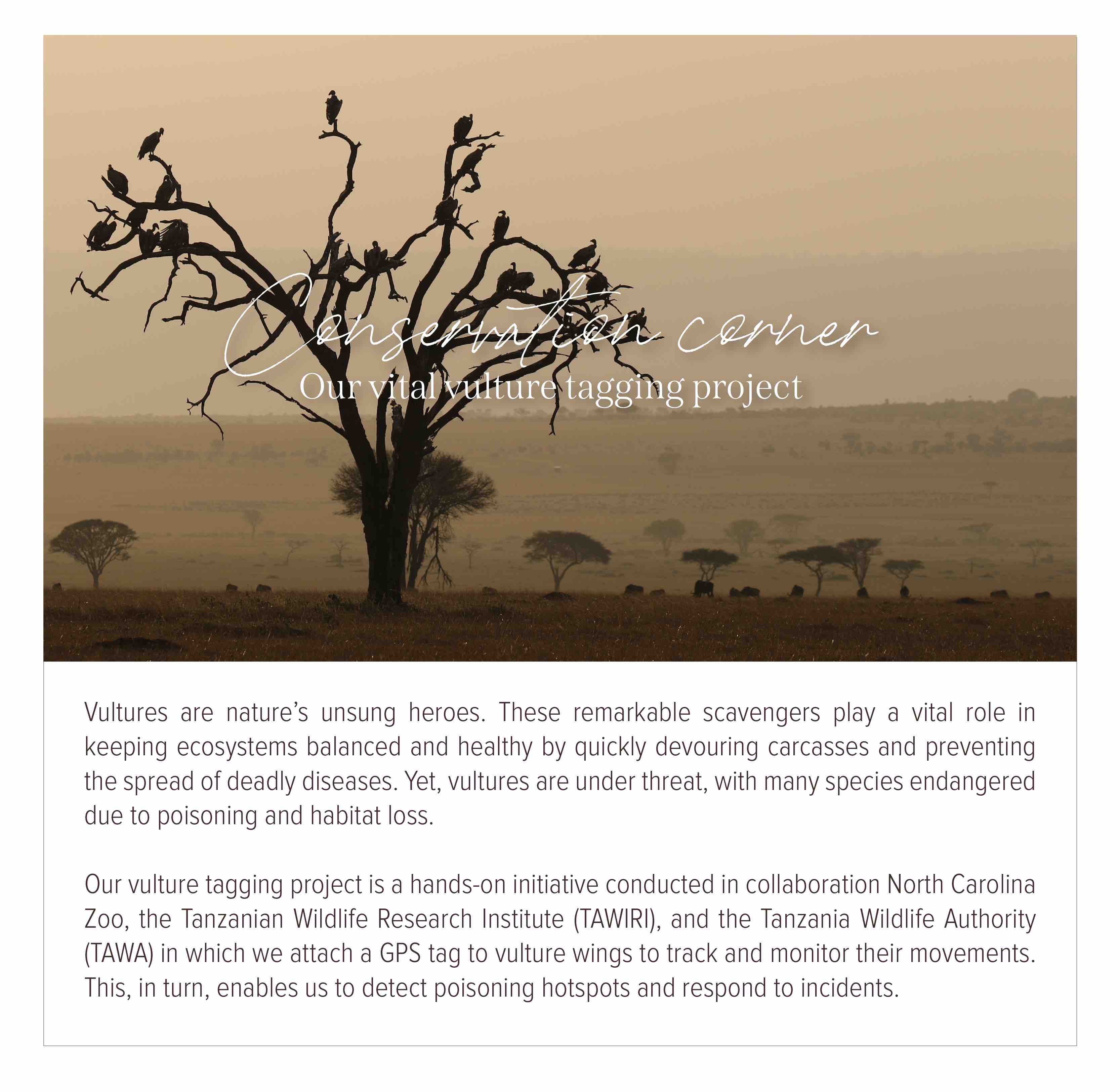 Conservation corner