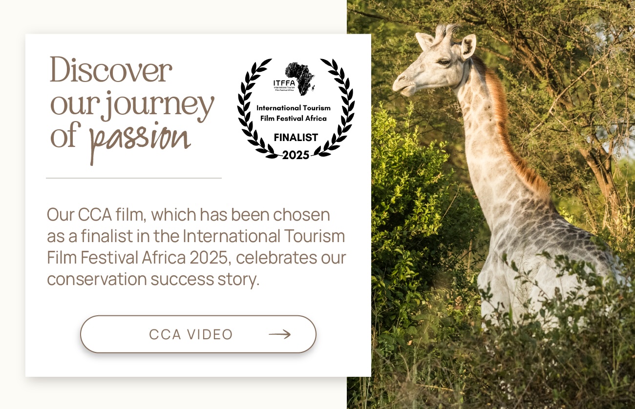 CCA Video