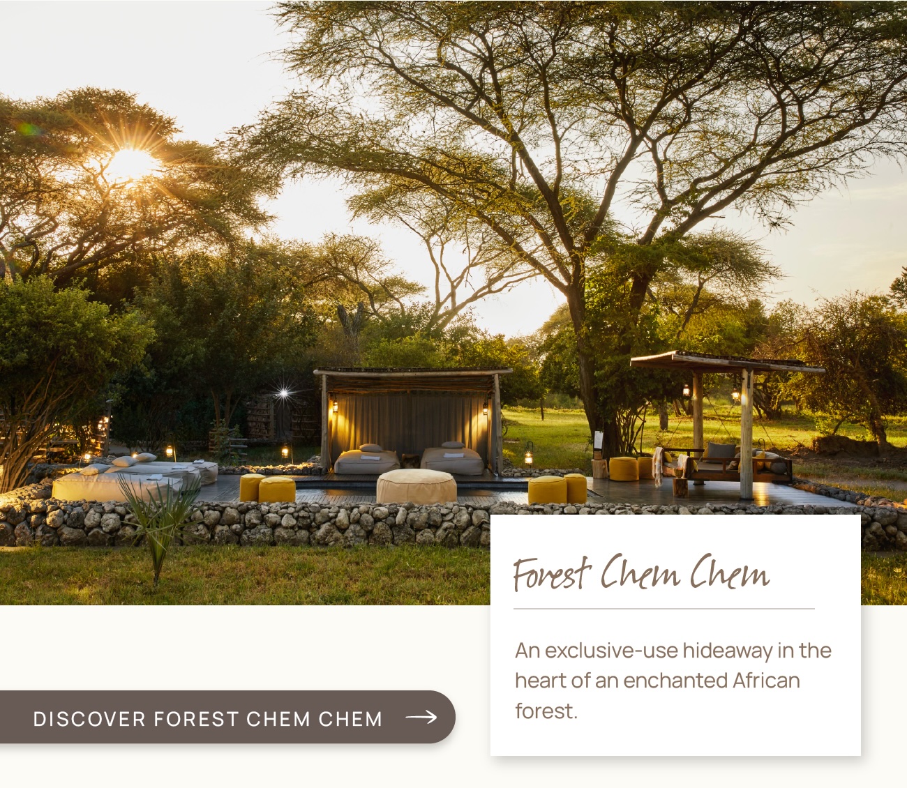 Discover Forest Chem Chem