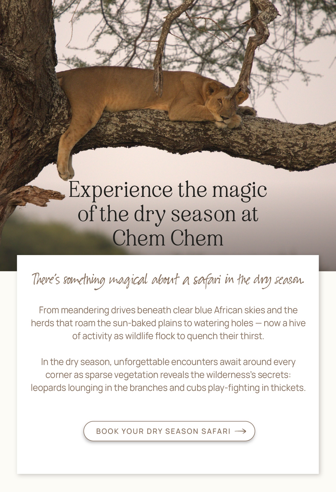 Book your dry season safari
