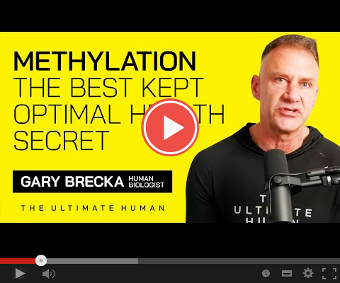 Methylation
