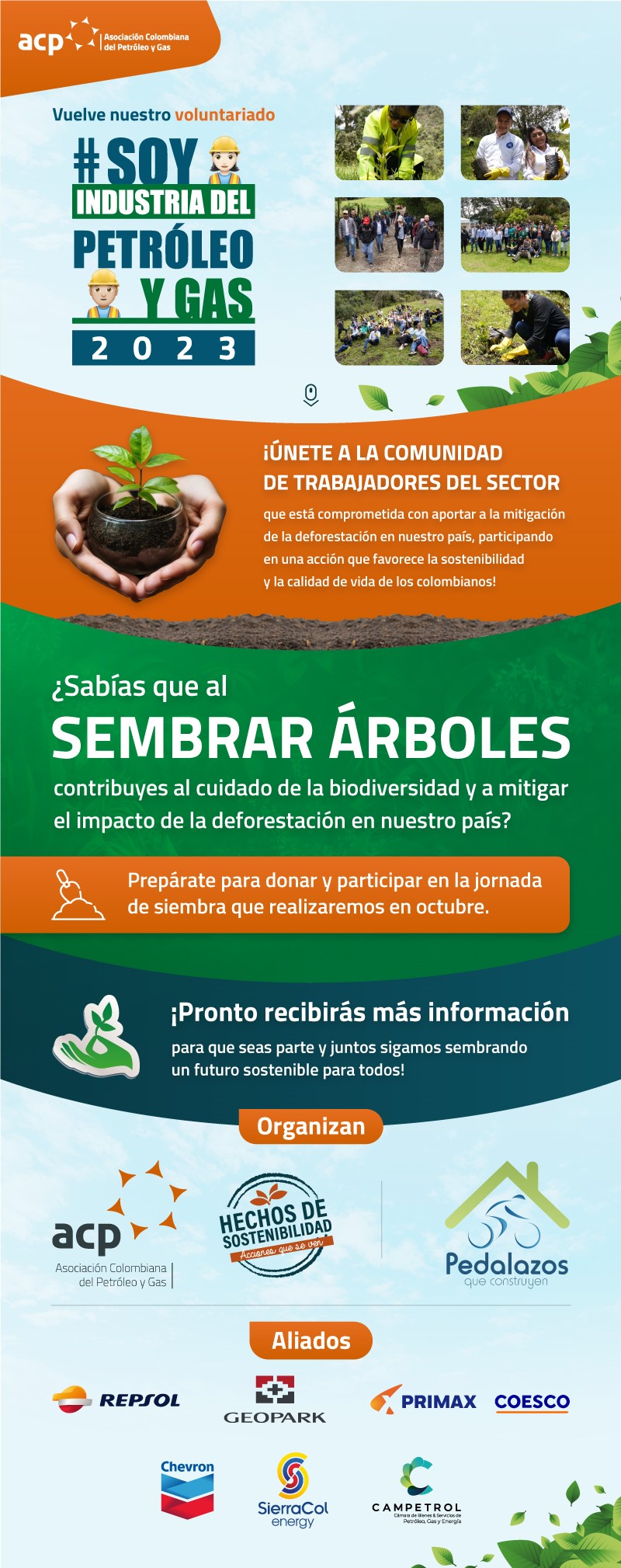 https://stratus.campaign-image.com/images/974991000009542004_zc_v1_1693588587760_voluntariado_siembra_de_arboles.jpg