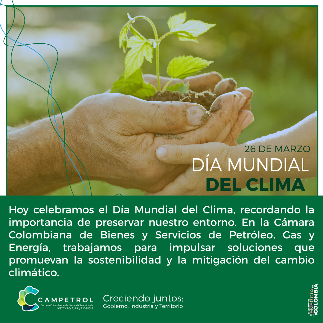 https://stratus.campaign-image.com/images/974991000014335004_zc_v1_1711500616649_240326_día_del_clima.jpg