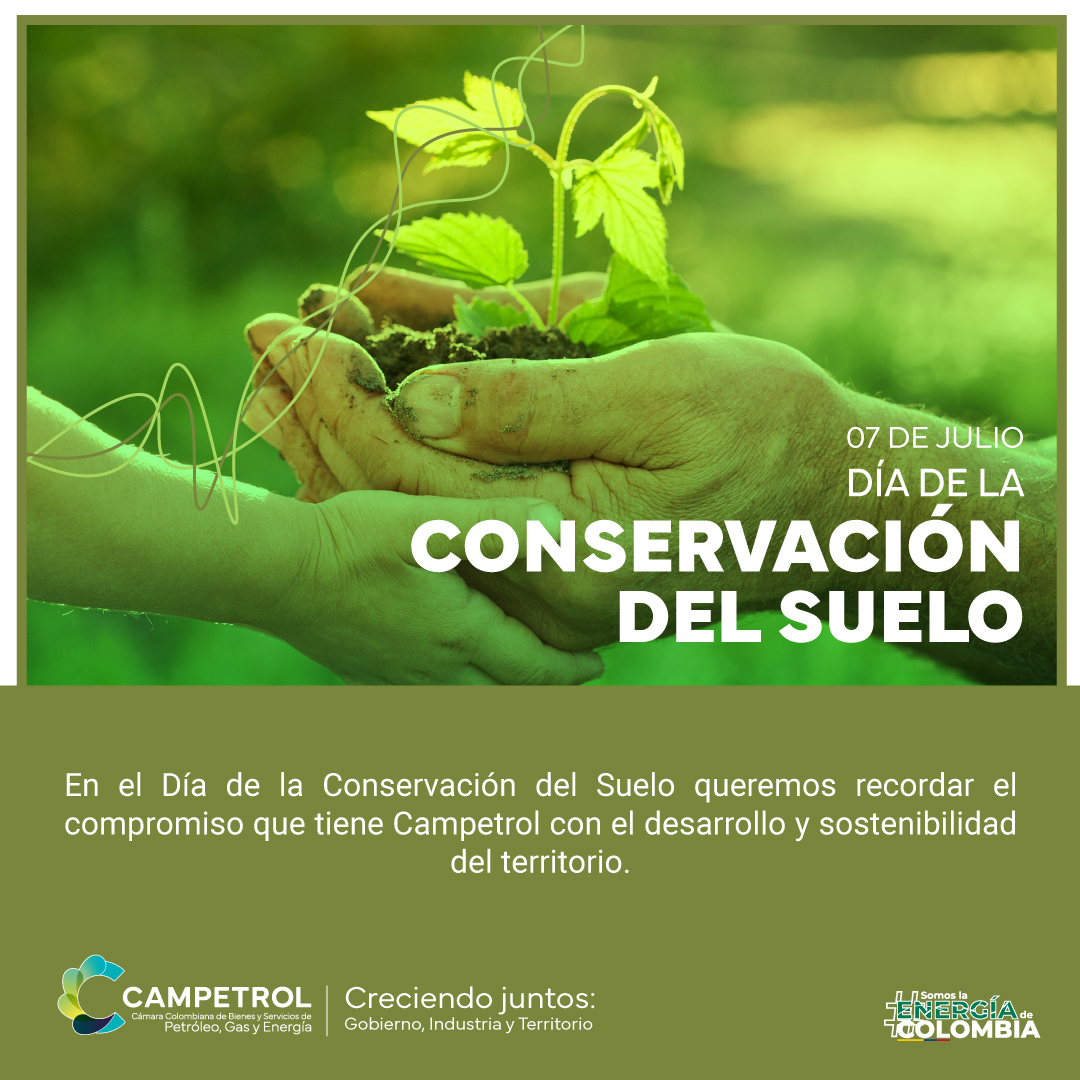 https://stratus.campaign-image.com/images/974991000016450004_zc_v1_1720197149060_240707_dia_de_la_conservacion_del_suelo_(1).jpg