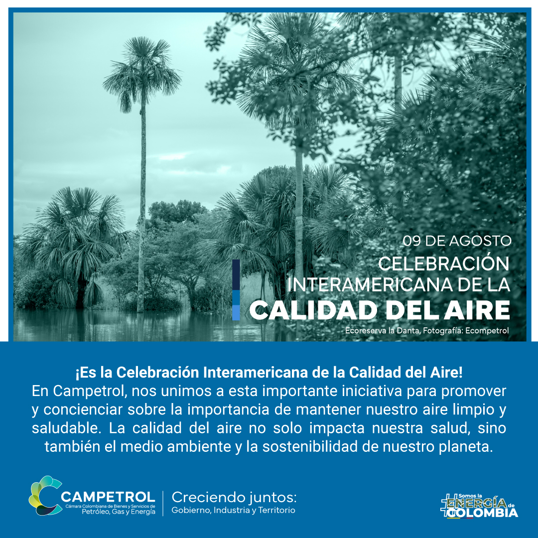 https://stratus.campaign-image.com/images/974991000017208219_zc_v1_1723230051167_240809_día_interamericano_de_la_calidad_del_aire.jpg